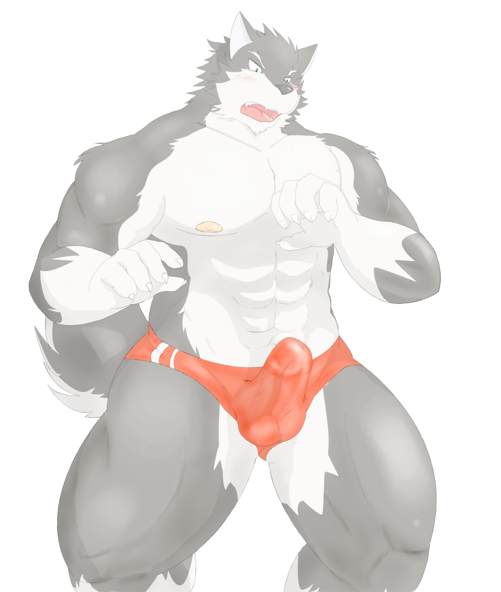 balls biceps blush bulge canine clothed clothing dog erection half-dressed male mammal muscles nipples pecs penis solo speedo swimsuit topless underwear unknown_artist vein wolf