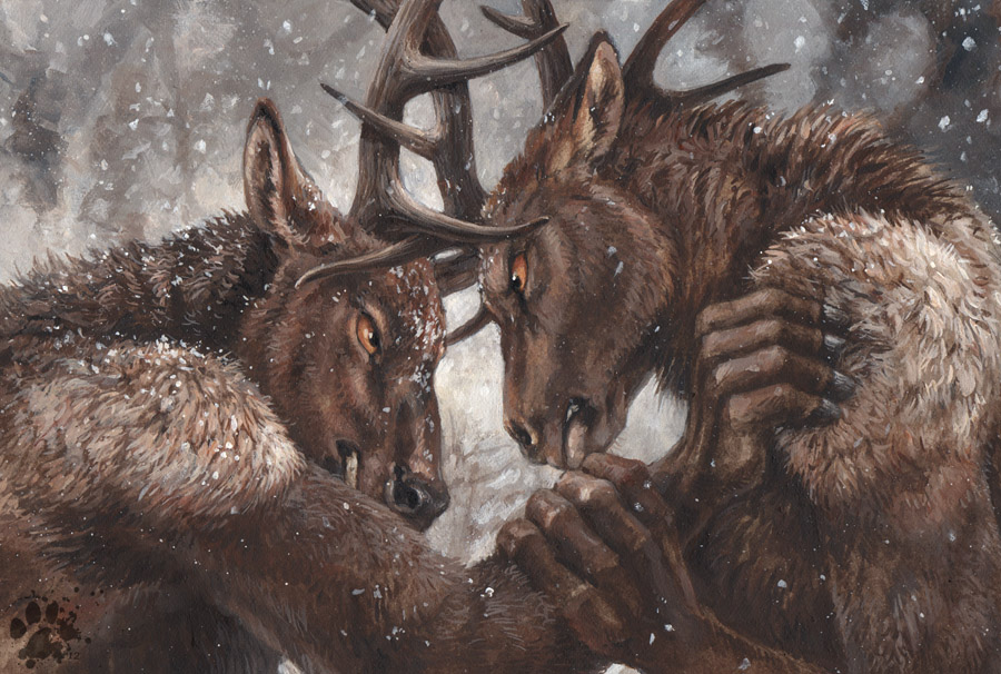 alpha_male antlers blotch cervine elk fight horn male mammal outside snow winter