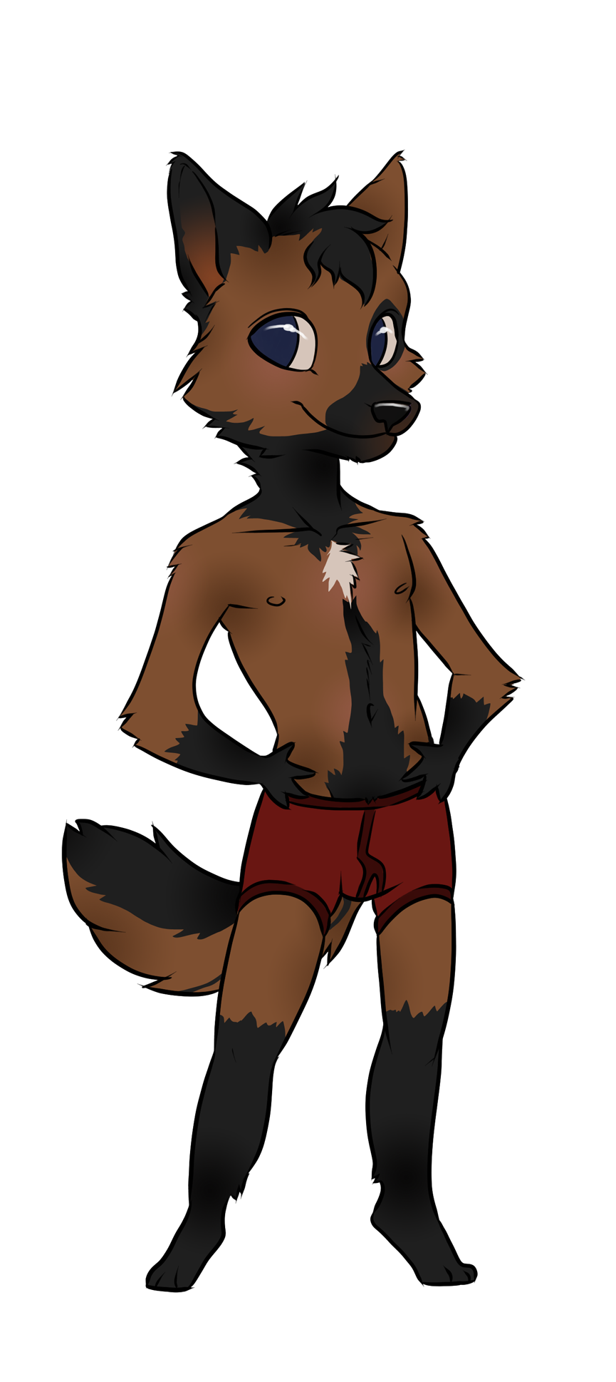 alpha_channel brown_fur canine clothed clothing dog fur half-dressed jijix male mammal solo topless underwear