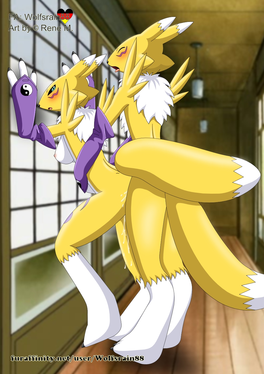 906px x 1280px - The Big ImageBoard (TBIB) - anthro bandai blush breasts canine cum digimon  eyes closed female fox from behind fur invalid tag male mammal nipples nude  penetration renamon sex side boob standing straight