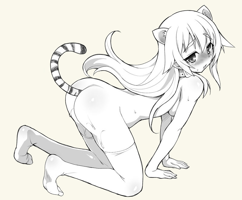 animal_ears blush breasts character_request collar copyright_request in_heat kouki_kuu long_hair medium_breasts monochrome nude open_mouth pussy_juice sideboob solo sweat tail thighhighs tiger_ears tiger_tail