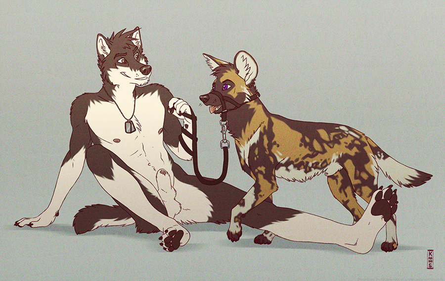 african_wild_dog akua anthro anthro_on_feral balls bestiality black_fur brown_eyes brown_fur canine claws dog_tags eye_contact feral fur gay halti hindpaw interspecies kannos knot knot_in_sheath leash male mammal necklace nude painted_dog pawpads paws penis penis_tip plain_background purple_eyes sheath sitting soles toes white_fur wolf