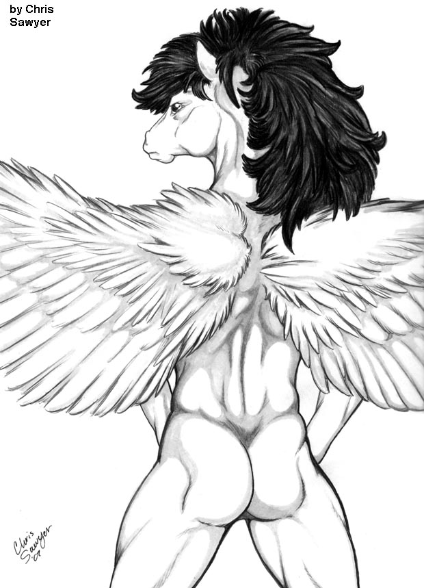 butt chris_sawyer equine hair horse long_hair male mammal monochrome nude pegasus plain_background white_background wings