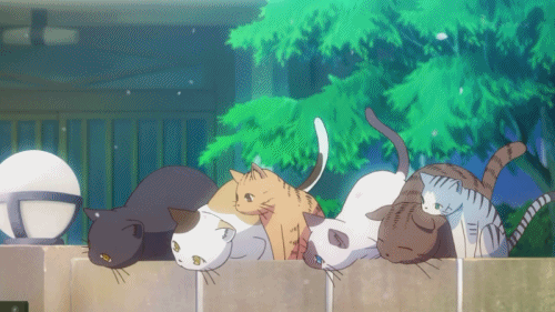 animated animated_gif cat lowres no_humans sakura-sou_no_pet_na_kanojo screencap too_many_cats