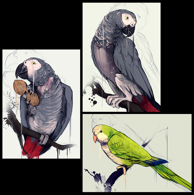 ambiguous_gender avian beak bird birds black_eyes claws feral food green_feathers grey_feathers monk_parakeet no_swift nut parrot peanut red_feathers tree twig white_feathers wings yellow_eyes