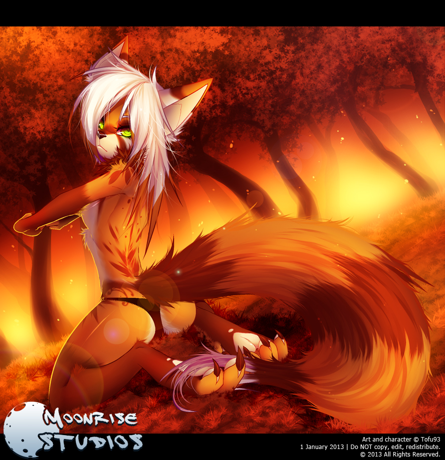 breasts clothed clothing female hair half-dressed kneeling looking_at_viewer mammal orange_theme red_panda side_boob skimpy solo tofu93 topless warm_colors white_hair