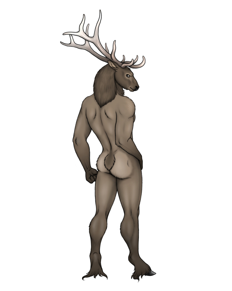 antlers brown_fur cervine chiro_ookami elk fur hooves horn looking_at_viewer looking_back male mammal nude solo