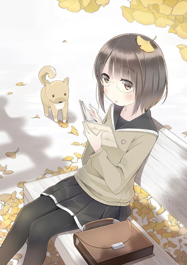 :o ataru_(ataru_squall) bag bench black_legwear blush book brown_eyes brown_hair dog ginkgo glasses leaf leaf_on_head original pantyhose pleated_skirt reading school_bag school_uniform serafuku short_hair sitting skirt solo