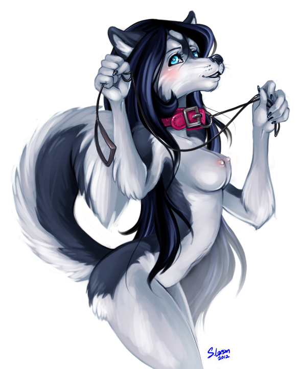 anthro black_hair blue_eyes blush breasts canine collar dog female fortunata fur grey_fur hair husky leash long_hair looking_at_viewer mammal navel nipples nude plain_background solo standing white_background