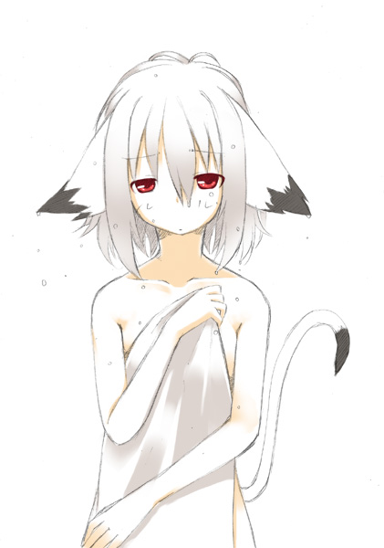 animal_ears cat_ears cat_tail covering flat_chest looking_at_viewer majima_yuki nude nude_cover original red_eyes short_hair simple_background solo tail wet white_background white_hair