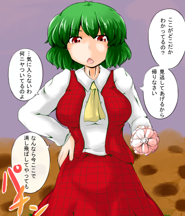 flower green_hair hand_on_hip kazami_yuuka looking_at_viewer open_mouth red_eyes short_hair skirt solo sukedai sunflower touhou translation_request umbrella vest