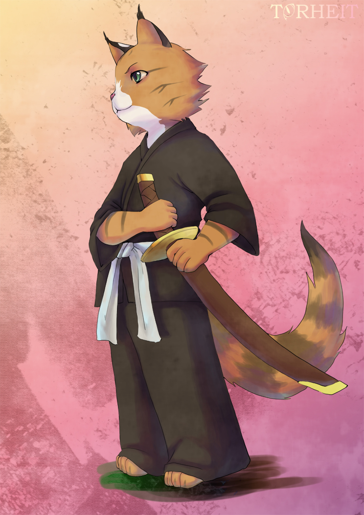 bleach cat clothing feline fur green_eyes male mammal orange_fur robe shinigami simple_background sword torheit torheit-die-katze weapon
