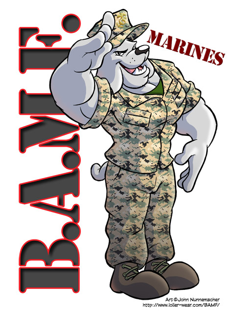 canine cooner dog male mammal marines mascot military solo