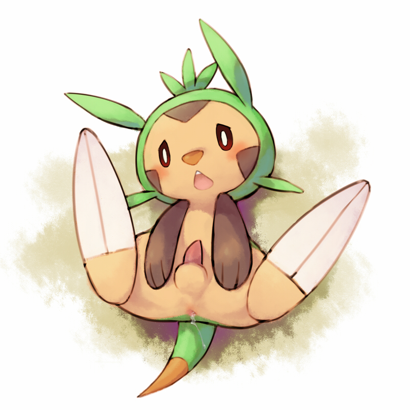 balls chespin cotora cub lying male nintendo on_back open_mouth penis pok&#233;mon pok&eacute;mon solo video_games young