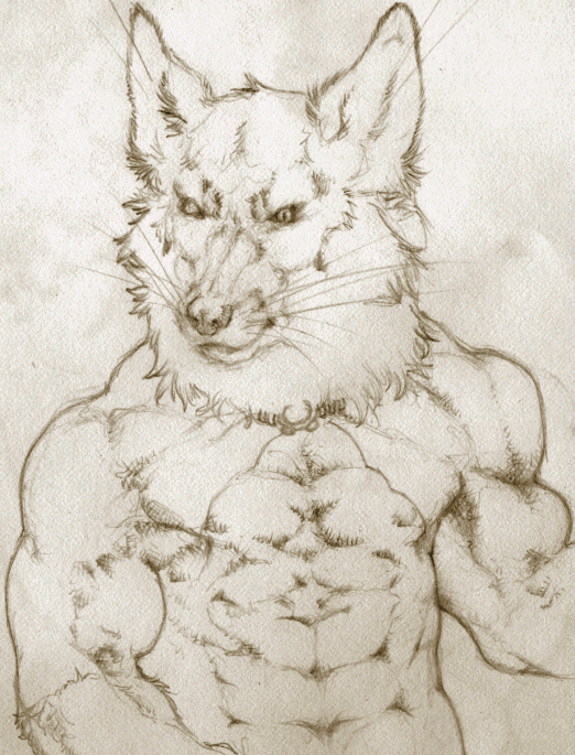 abs biceps canine male mammal monochrome muscles pecs rat rodent sepia sketch solo whiskers wolf