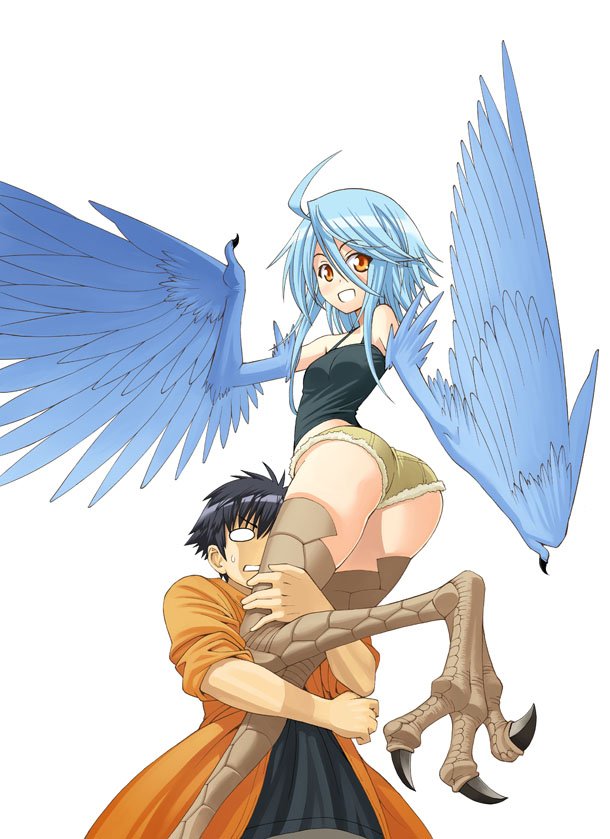 1girl ahoge ass bare_shoulders blank_eyes blue_hair blue_wings breasts claws feathered_wings feathers harpy kurusu_kimihito looking_at_viewer monster_girl monster_musume_no_iru_nichijou official_art okayado papi_(monster_musume) short_shorts shorts simple_background small_breasts smile talons white_background wings yellow_eyes