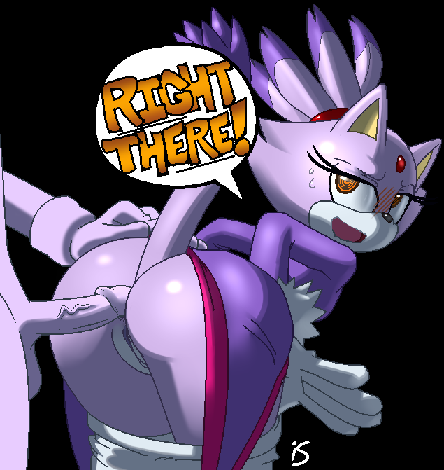 anus balls blaze_the_cat blush bottomless cat clothed clothing english_text erection feline female forehead_gem hair half-dressed imminent_sex is is_(artist) looking_back male mammal nude penis purple_dress pussy sega smile sonic_(series) text two_tone_hair