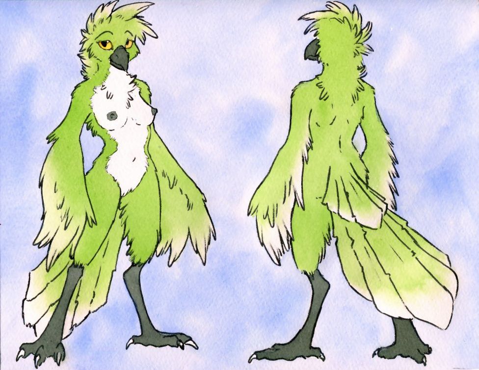 areola avian beak bird breasts female green_feathers invalid_color looking_at_viewer nipples nude pussy ruaidri simple_background solo standing winged_arms wings yellow_eyes
