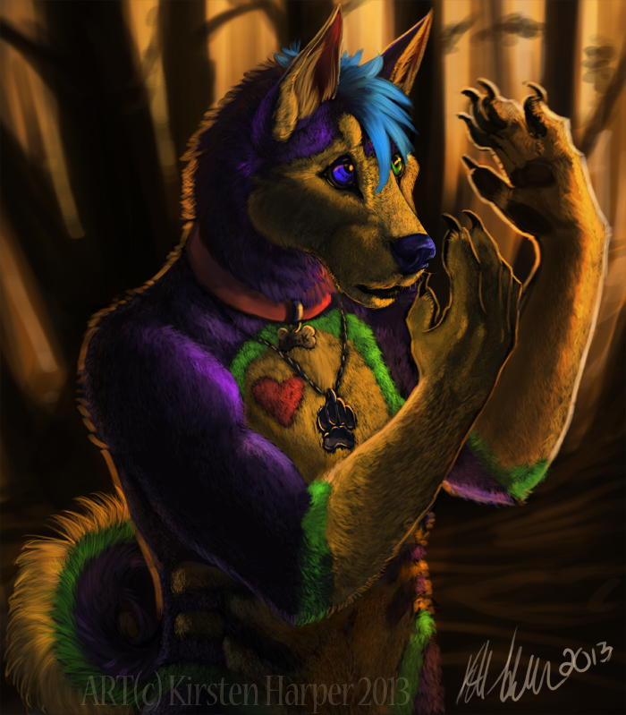 &lt;3 anthro art blue canine collar color colorful dog fur hearts herm heterochromia husky intersex invalid_color kirsten_harper looking looks maleherm mammal metal of outside paws pink pinki-husky purple rainbow realistic solo sunlit tag tidmatiger tidmatigericon transformation wood yellow