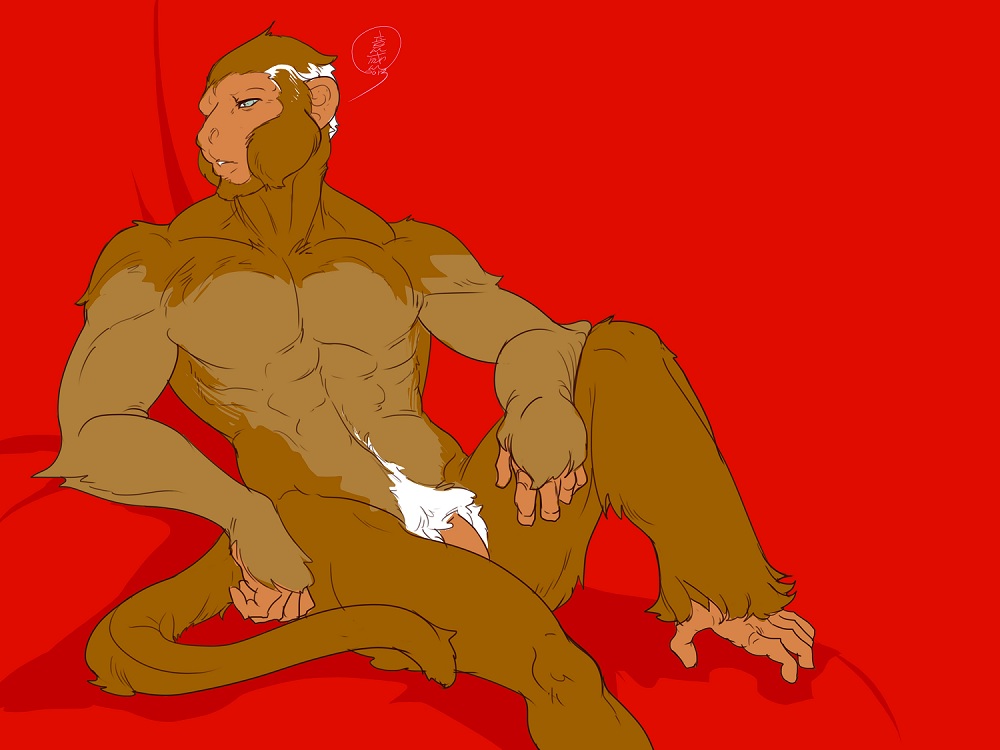 anthro balls biceps brown_fur flaccid fur fydbac fydbac_(artist) green_eyes looking_at_viewer male mammal monkey muscles nude pecs penis plain_background pose primate pubes red_background sitting solo white_fur