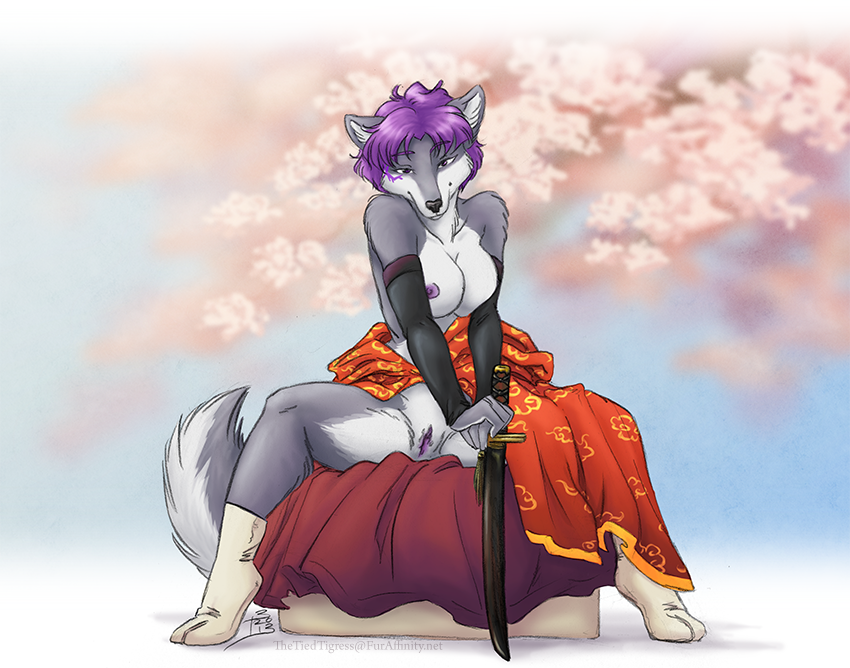 canine clothed clothing female grey_hair hair jess_(teckly) looking_at_viewer mammal purple_hair purple_nipples pussy sitting skimpy solo spread_legs spreading sword thetiedtigress weapon wolf