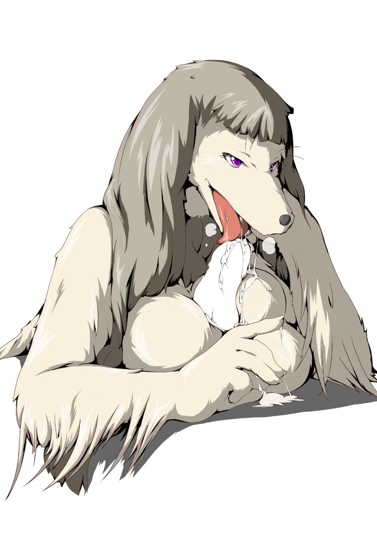 blush breasts canine disembodied_penis dog fellatio female male mammal monster_rancher oral oral_sex penis sex shiyusu straight titfuck unknown_species