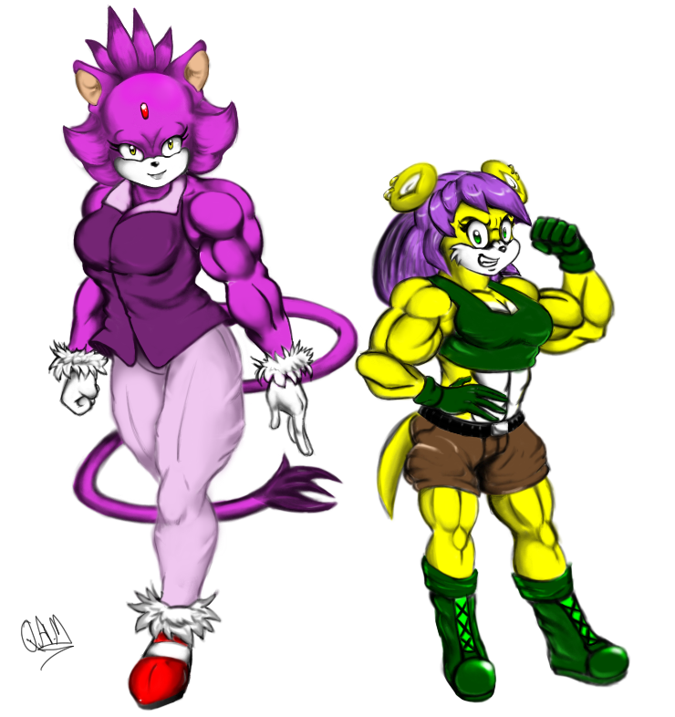 anthro biceps blaze_the_cat boots breasts cat clothing couple duo feline female flexing gloves invalid_tag mammal mina_mongoose mongoose muscles muscular_female pants plain_background sega shirt shoes shorts smile sonic_(series) white_background