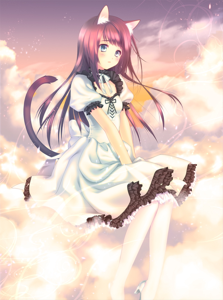 animal_ears blue_eyes brown_hair cat_ears cat_tail cloud collarbone dress full_body high_heels original outdoors pantyhose puffy_short_sleeves puffy_sleeves shoes short_sleeves sitting sitting_on_object sky solo surreal tail touto_seiro white_legwear