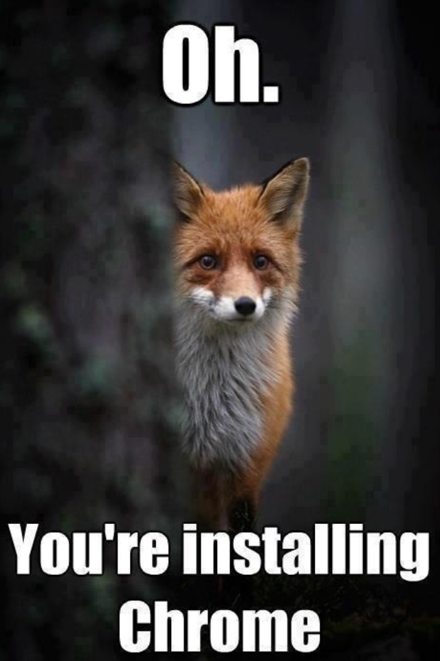 canine cute english_text feral fox gender humor image_macro joke mammal real solo text tree wood
