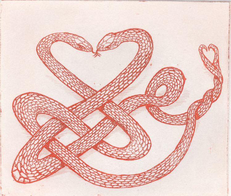 celtic_knot kissing red_color red_theme reptile scalie sketch snake snake-artist tongue