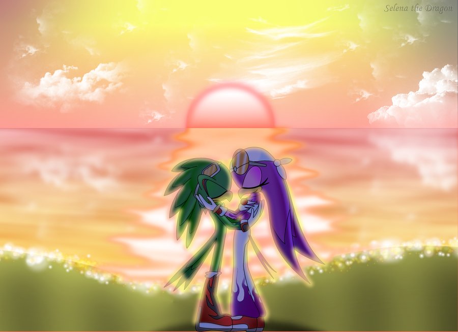 bandanna duo eyewear female glasses goggles green_feathers jet_the_hawk low_res male outside purple_feathers sega sonic_(series) sonic_riders wave_the_swallow