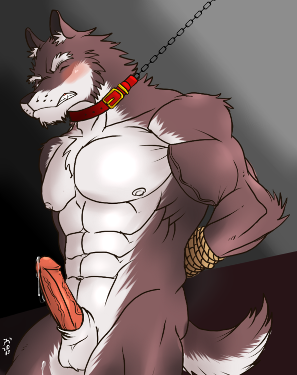 abs anthro balls biceps big_muscles black_nose blush bound brown_fur canine chain chest_tuft clenched_teeth collar cum erection eyes_closed fangs frown fur gay hentist hideo_katashi hideo_katashi_(character) humanoid_penis leaking leash looking_at_viewer male mammal muscles nipples nude pecs penis pose precum presenting rope sheath solo standing teeth toned tuft vein white_fur wolf