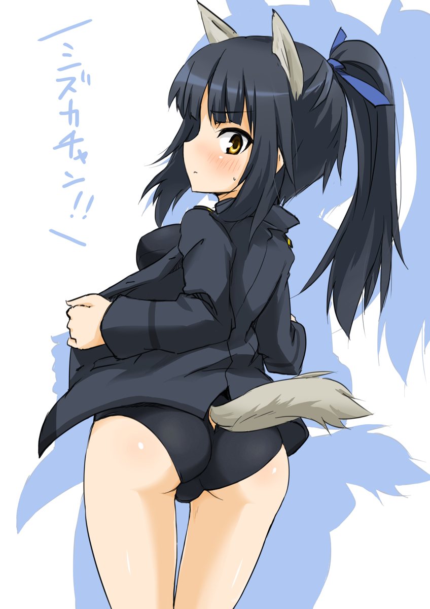 animal_ears ass bad_id bad_pixiv_id black_hair breasts dakku_(ogitsune) hattori_shizuka highres looking_at_viewer looking_back medium_breasts military military_uniform ponytail solo strike_witches tail uniform world_witches_series yellow_eyes