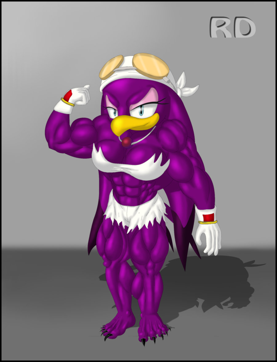 abs avian bandanna beak biceps bird bodybuilder breasts clothing eyewear female glasses gloves muscles muscular_female necklace pose sega skimpy smile solo sonic_(series) sonic_riders swallowing torn_clothing wave_the_swallow