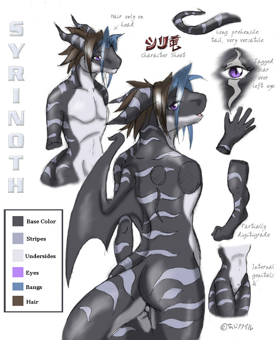dragon male model_sheet plain_background purple_eyes scalie sheath solo stripes syrinoth two_tone_hair white_background wings