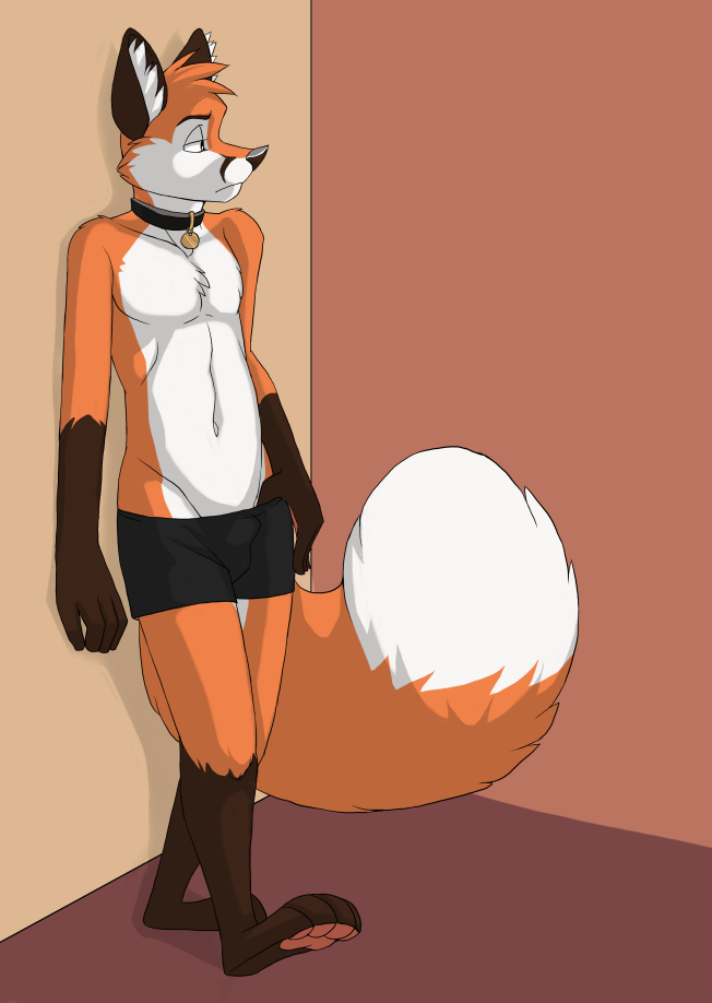 canine collar fox jailbird male mammal solo topless underwear