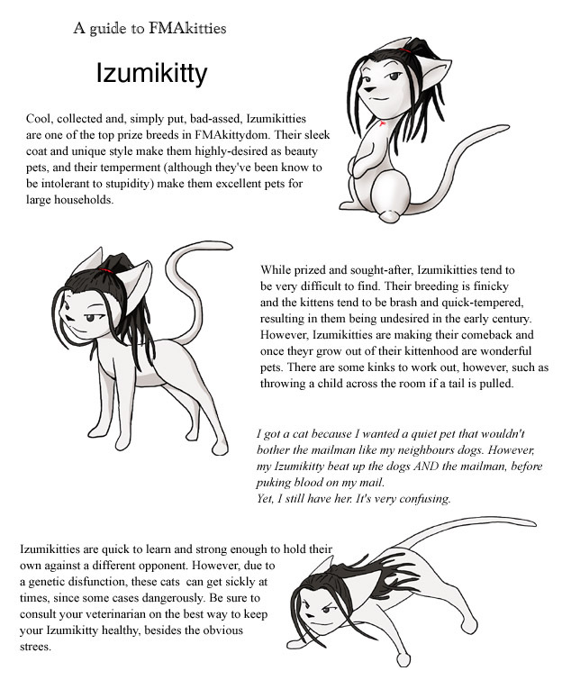feline female feral fmakitties fullmetal_alchemist izumi_curtis kitsune_no_yuki mammal