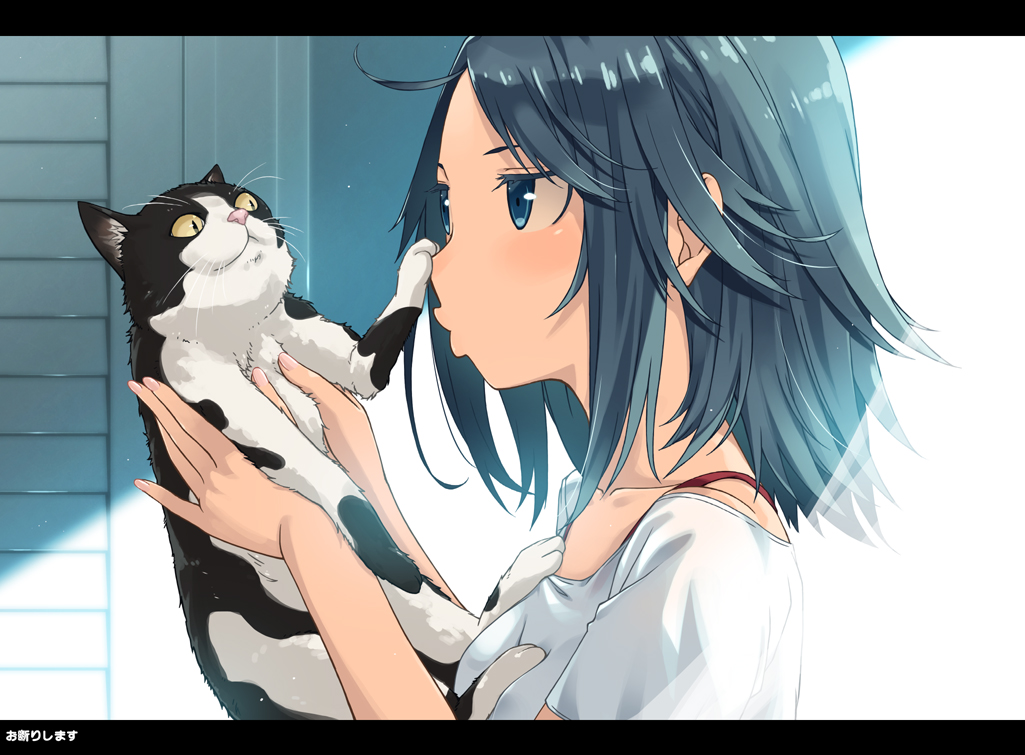 animal bad_id bad_pixiv_id blue_eyes blue_hair cat cat_focus holding holding_animal kimura_(ykimu) original puckered_lips short_hair