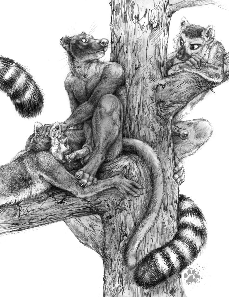 balls blotch claws cum cum_in_mouth cum_inside fellatio fossa fur gay greyscale group hand_on_head lemur looking_at_viewer looking_back lying male mammal monochrome nude on_front oral oral_sex penis plain_background primate ringed_tail sex sheath sitting tree whiskers