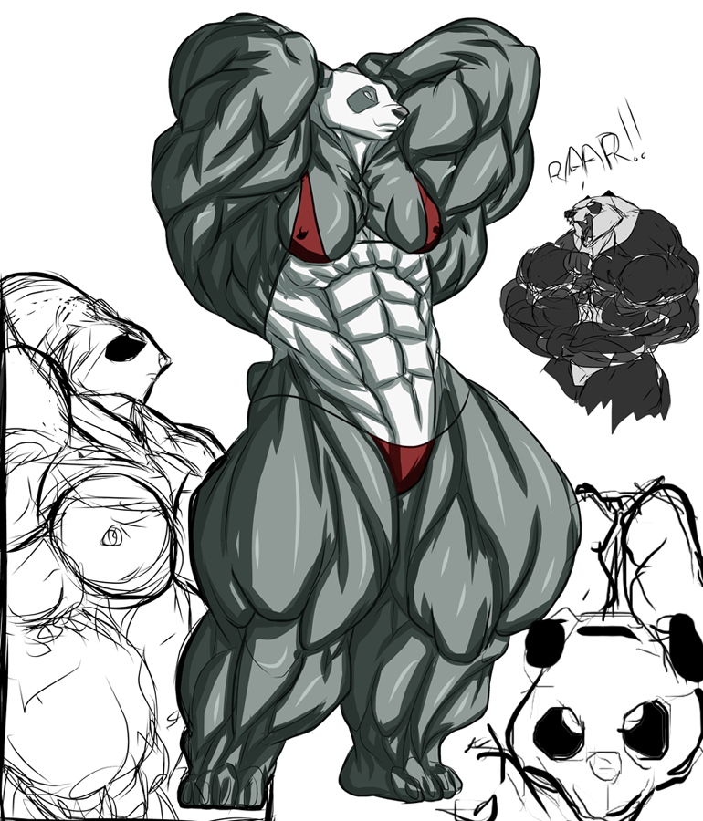 b9tribeca bear biceps bikini clothed clothing color female flexing inks mammal muscles muscular_female navel panda pose sketch skimpy solo swimsuit tight_clothing