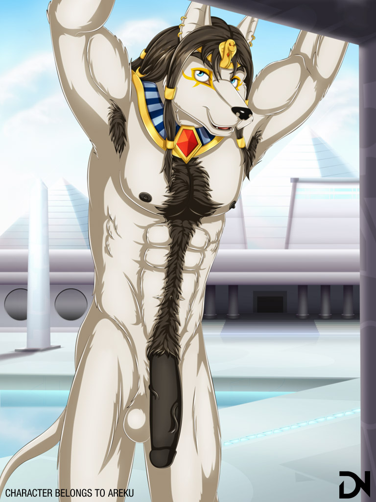 anthro areku armpit_hair armpits balls biceps big_penis black_fur black_nipples black_nose black_penis blue_eyes body_hair building canine chest_tuft cloud dreadlocks dream_and_nightmare ear_piercing egyptian erection flaccid fur gold hair hands_up happy_trail humanoid_penis jackal jewelry long_hair looking_at_viewer male mammal muscles nipples nude outside pecs penis piercing pool pose presenting pubes sheath sky smile solo standing sunny toned tuft vein white_fur