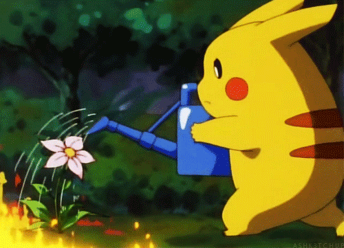 animated animated_gif animation fire flower lowres nintendo outdoors pikachu pokemon water watering_can