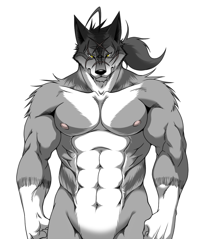 alpha_channel angry anthro biceps big_muscles black_nose blue_background canine facial_markings flexing frown fur grey_fur hair looking_at_viewer male mammal markings morenatsu muscles nipples nude pecs plain_background pose scar solo standing ten_kodori toned transparent_background unknown_artist white_fur wolf yellow_eyes