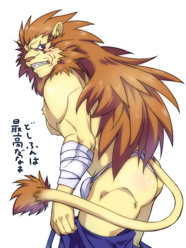 &#12414;&#12394;&#12403;&#12371; back_turned bandage biceps blue_eyes blush body_markings brown_fur butt chest_tuft clothing embarrassed fangs feline fur grey_background japanese japanese_text jockstrap lion looking_at_viewer male mammal manabiko markings muscles nipples pants pecs pink_nose plain_background pose scar solo standing sweat teeth text topless tuft underwear undressing yellow_fur