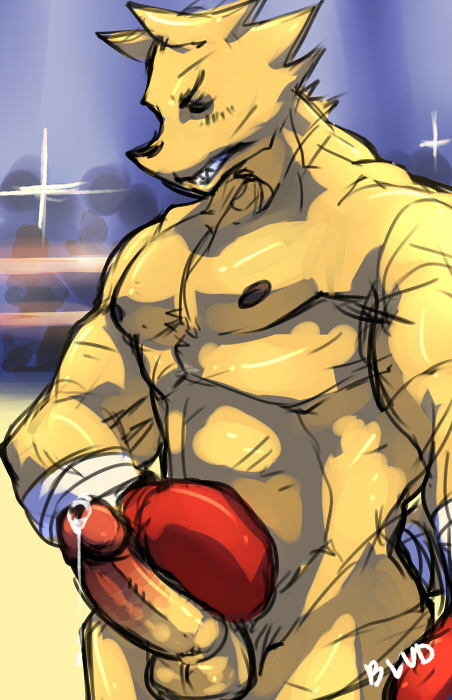 anthro balls bandage biceps black_nipples boulevard boxer boxing canine chest_tuft clenched_teeth dripping erection exhibitionism eyes_closed fangs fighting_ring fur gloves humanoid_penis leaking male mammal masturbation muscles nipples nude pecs penis pose precum presenting public sheath sketch solo teeth tuft yellow_fur