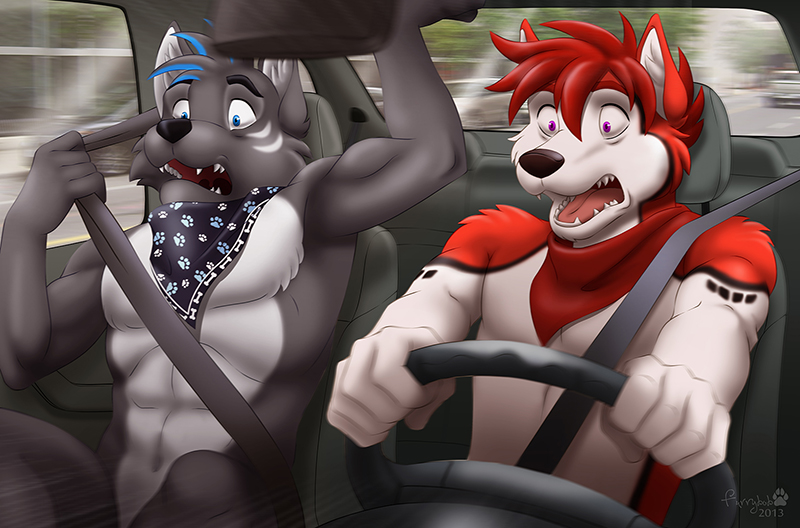 5_fingers abs armpits bandanna black_fur black_nose blue_eyes canine car cenny dog driving duo fangs fur furrybob hair handkerchief husky male mammal multicolor_fur muscles navel nude open_mouth orange_fur pecs photo_background purple_eyes red_hair scared sitting teen_drivers tongue two_tone_fur white_fur wolf