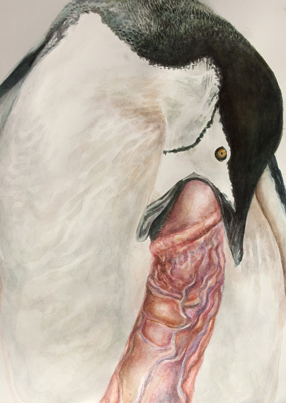 beakjob bird brittany_zagoria chinstrap_penguin disembodied_penis feral human humanoid_penis male oral penguin penis traditional_media vein watercolor