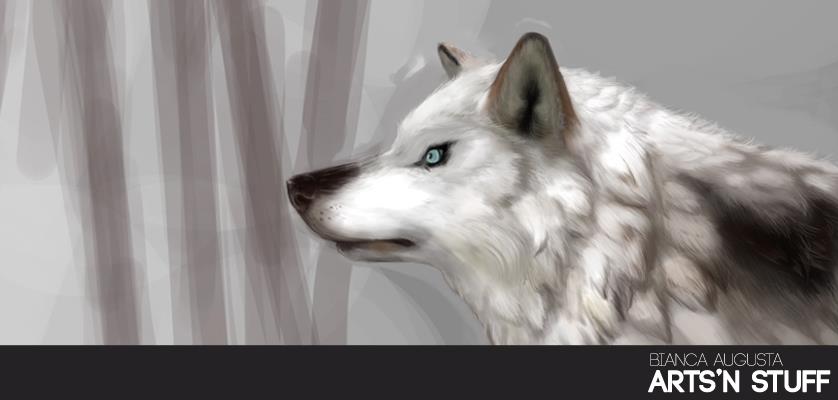 blue_eye canine feral fur mammal pale_wolf restricted_palette sadness safe white_fur wolf
