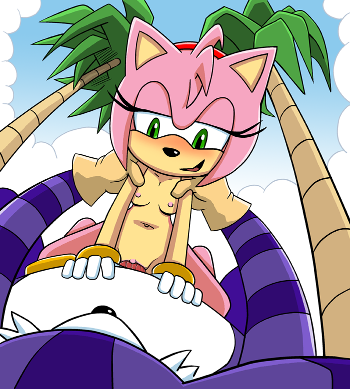 amy_rose anthro big_the_cat blush breasts cat cowgirl_position feline female gloves green_eyes hedgehog male mammal nipples nude on_top pussy sega sex shadowlink350 sonic_(series) straddling straight