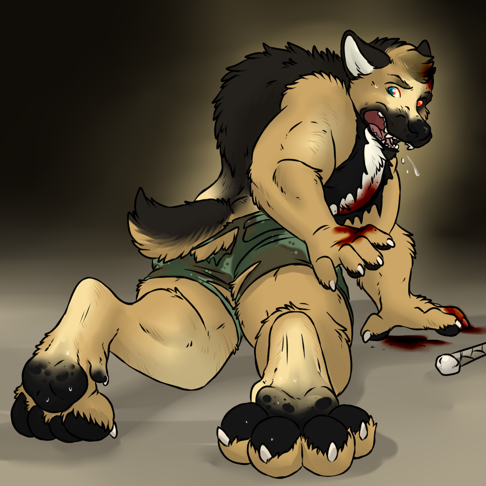 biceps blood canine clothing dog german_shepherd glowing glowing_eyes human looking_back male mammal muscle_growth muscles open_shirt pecs saliva shirt shorts solo torn_clothing transformation